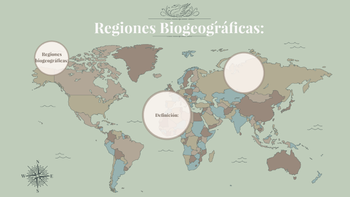 Regiones Biogeográficas by Alejandra Orti Valera on Prezi