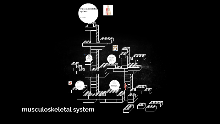 musculoskeletal system by Alan Gomez on Prezi