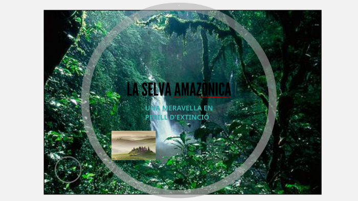 LA SELVA AMAZÒNICA by Maria Escolà Cabrera on Prezi