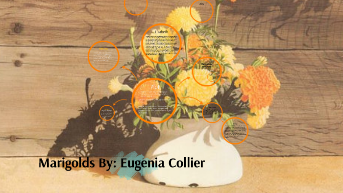 Marigolds By Ella Rastatter