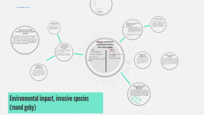 Environmental impact, invasive species (round goby) by Luke Kerr on Prezi