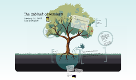 The Cabinet Of Wonders By Laura Mitchell