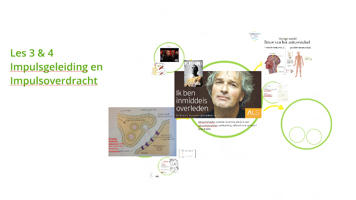 Impulsgeleiding by paula schreurs on Prezi