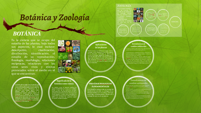 Botánica y Zoología by Lady Lugo on Prezi