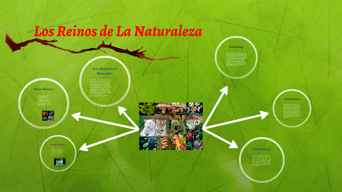 Los 5 Reinos de la Naturaleza by Fernanda Tavara on Prezi