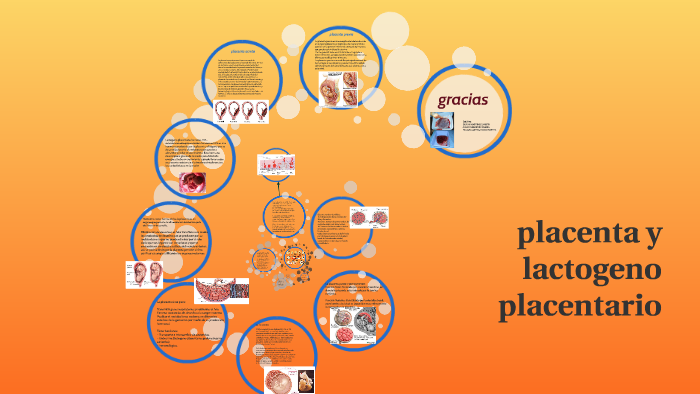 Desarrollo de la placenta y lactogeno placentario by Duran