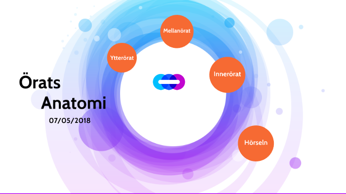 Örats Anatomi by Henry Tran on Prezi