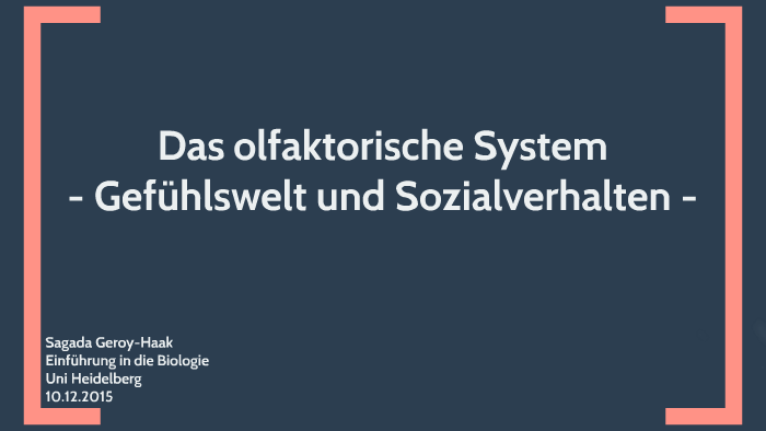 Das olfaktorische System by Sagi H on Prezi