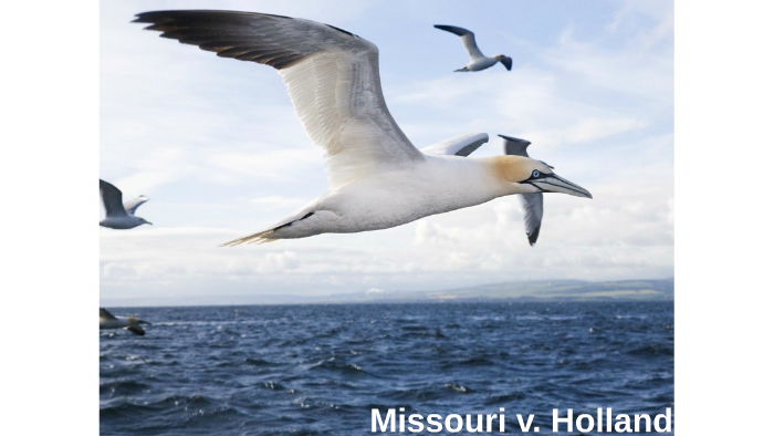 Missouri v. Holland by Mohammed Farah on Prezi