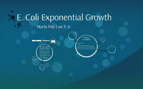 E. Coli Exponential Growth by Maria Paz Lau
