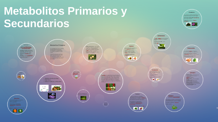 Metabolitos Primarios y Secundarios by alejandra tobon
