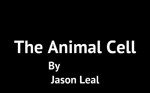 The Parts of The Parts Of An Animal Cell by Jason Leal on Prezi