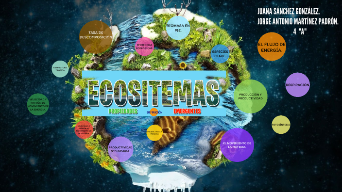 Ecosistemas by Juana Sánchez on Prezi