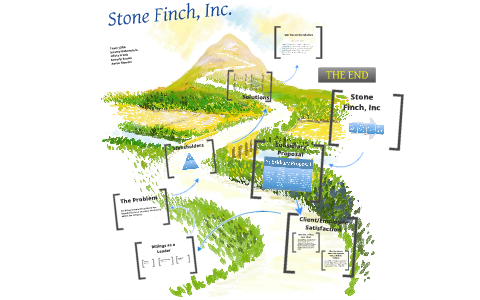 stone finch case study solution