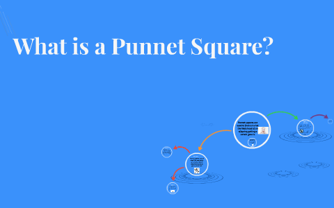 What Is A Punnet Square By Molly Houlihan