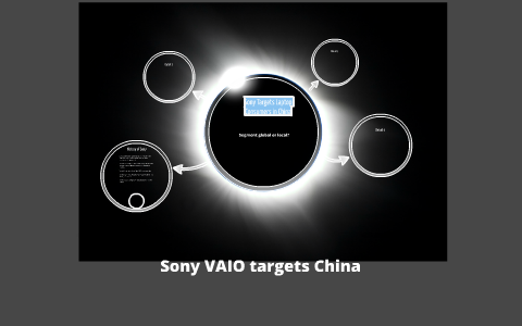 Sony targets laptop consumers in china essay example 04 picture