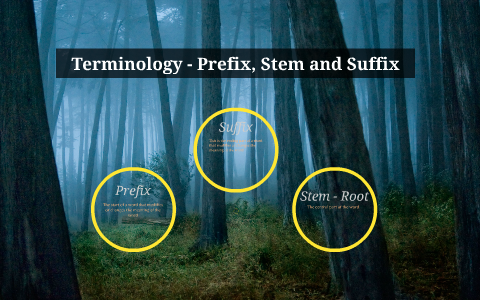 Terminology - Prefix, Stem and Suffix by Natalie Hebert on Prezi