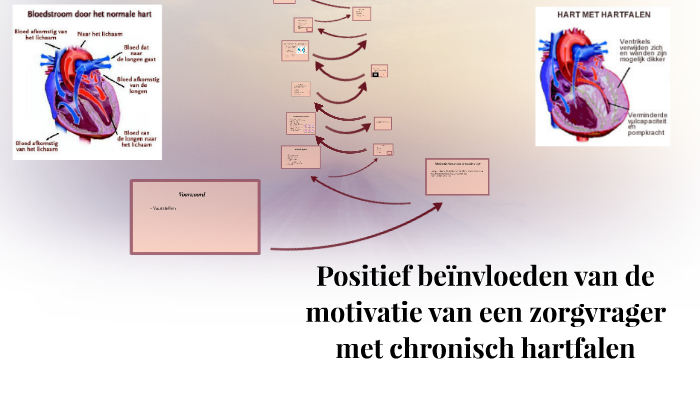 Positief beïnvloeden van de motivatie van een zorgvrager met by Geanne ...