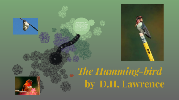the humming bird tree by ian mcdonald