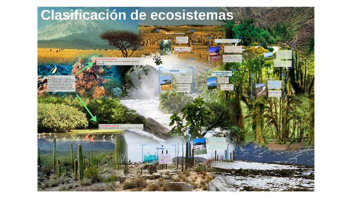 Clasificación de ecosistemas by José Manuel Lira Martínez on Prezi