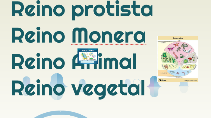 Los reinos de la Naturaleza by Fernanda Perez on Prezi