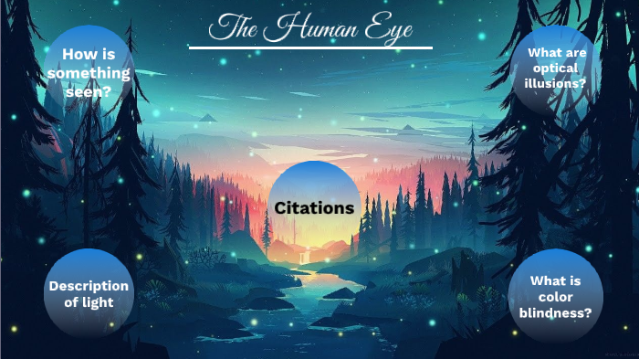 The Human Eye by Isabella McHenry on Prezi