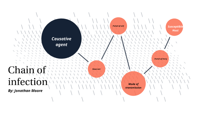 Chain of infection by Jonathan 253 on Prezi