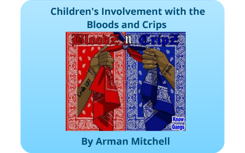 Critical thinking project cervetti 08 image