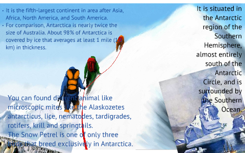 swimming to antarctica essay