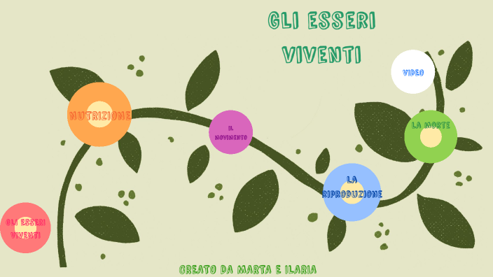 IL CICLO VITALE DEGLI ESSERI VIVENTI by marta pietta on Prezi