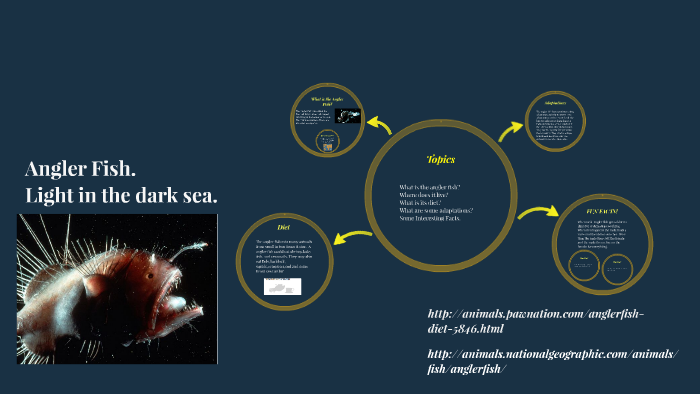 Angler Fish. by Lake Jones on Prezi