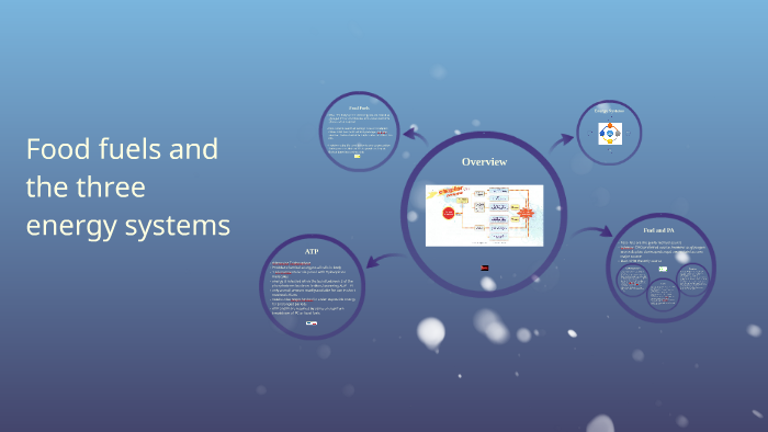 Food Fuels And The Three Energy Systems By Megan Shaw On Prezi