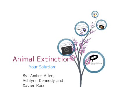 problem solution essay animal extinction