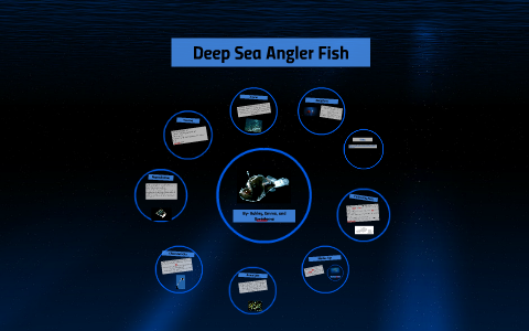 Deep Sea Angler Fish by Emma Boyd on Prezi