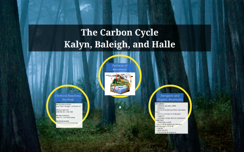 The Carbon Cycle by kalyn osborne on Prezi