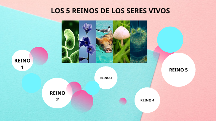 LOS 5 REINOS DE LOS SERES VIVOS by maritza Arteaga on Prezi