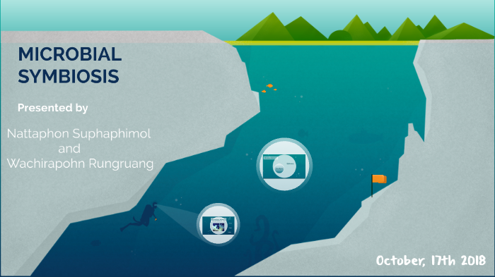 Coral and algae mutualism by Nattaphon Suphaphimol on Prezi