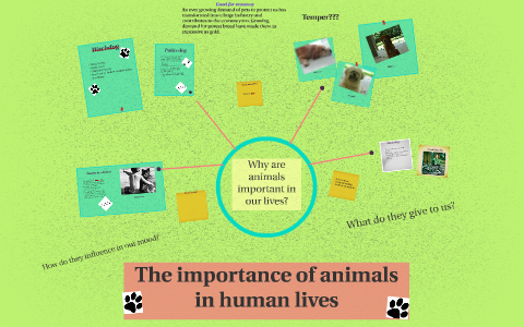 The importance of animal in the lives of human beings by Giselle Belo
