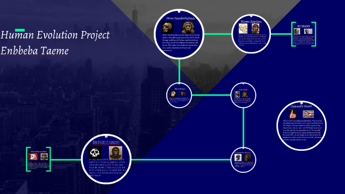 Human Evolution Project By Enbbeba Taeme On Prezi Human Evolution Project By Enbbeba Taeme On Prezi