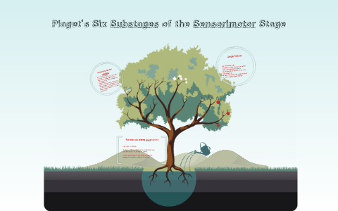 piaget's six substages of sensorimotor development