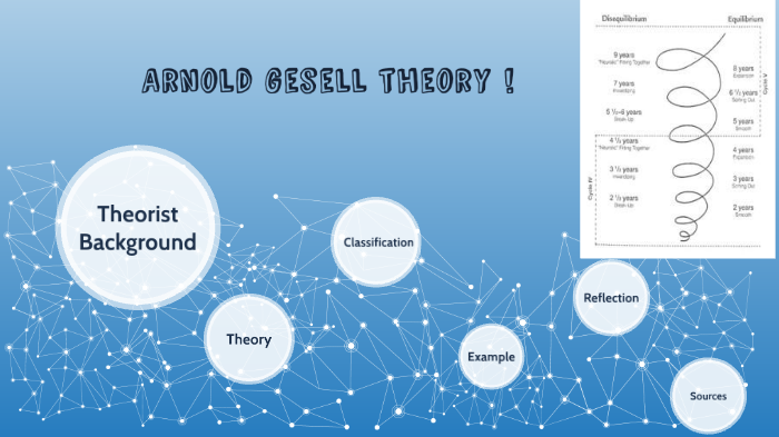 arnold-gesell-theory-by-kaitlyn-kneller