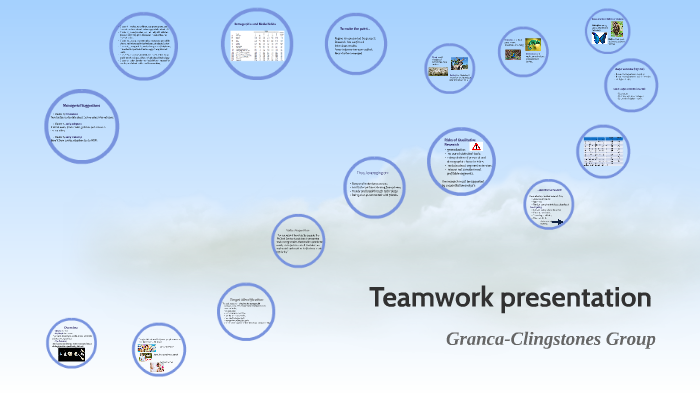 Teamwork presentation by Greta Malavolti on Prezi