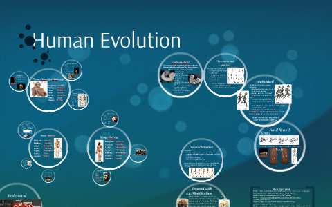 Human Evolution by Maria Woyden on Prezi