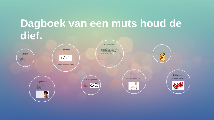 dagboek van een muts houd de dief