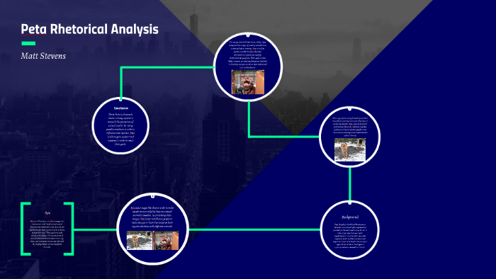 Peta Paragraphs Example Peta Rhetorical Analysis by Matthew Stevens on Prezi