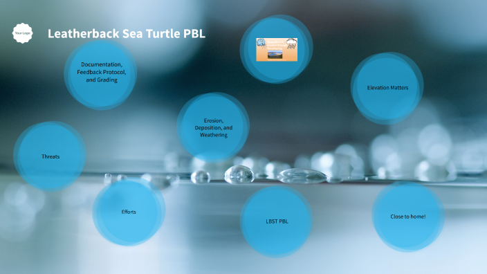 Leatherback Sea Turtle PBL by Mick Coleman on Prezi