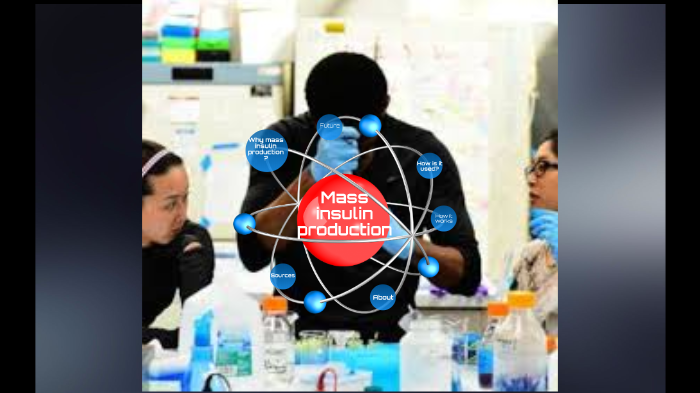 Mass insulin production by Carter Wilson on Prezi