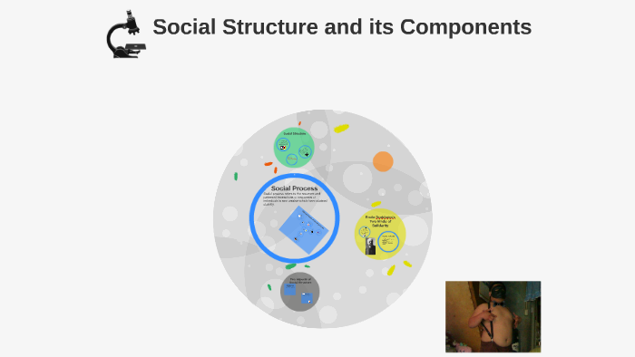 social-structure-and-its-components-2-04-social-structure-and-its