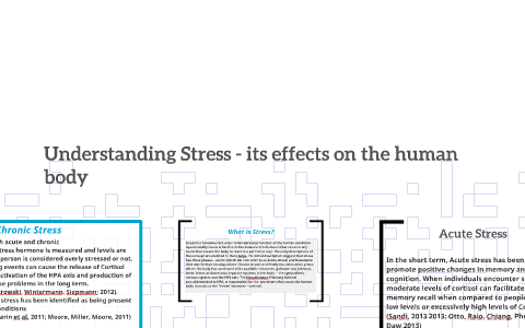 Understanding Stress - its effects on the human body by EmilyKate ...