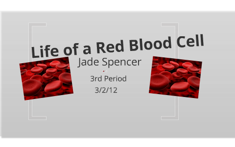 Life of a Red Blood Cell by Jade Spencer on Prezi